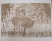 Engraved Ceramic Tile